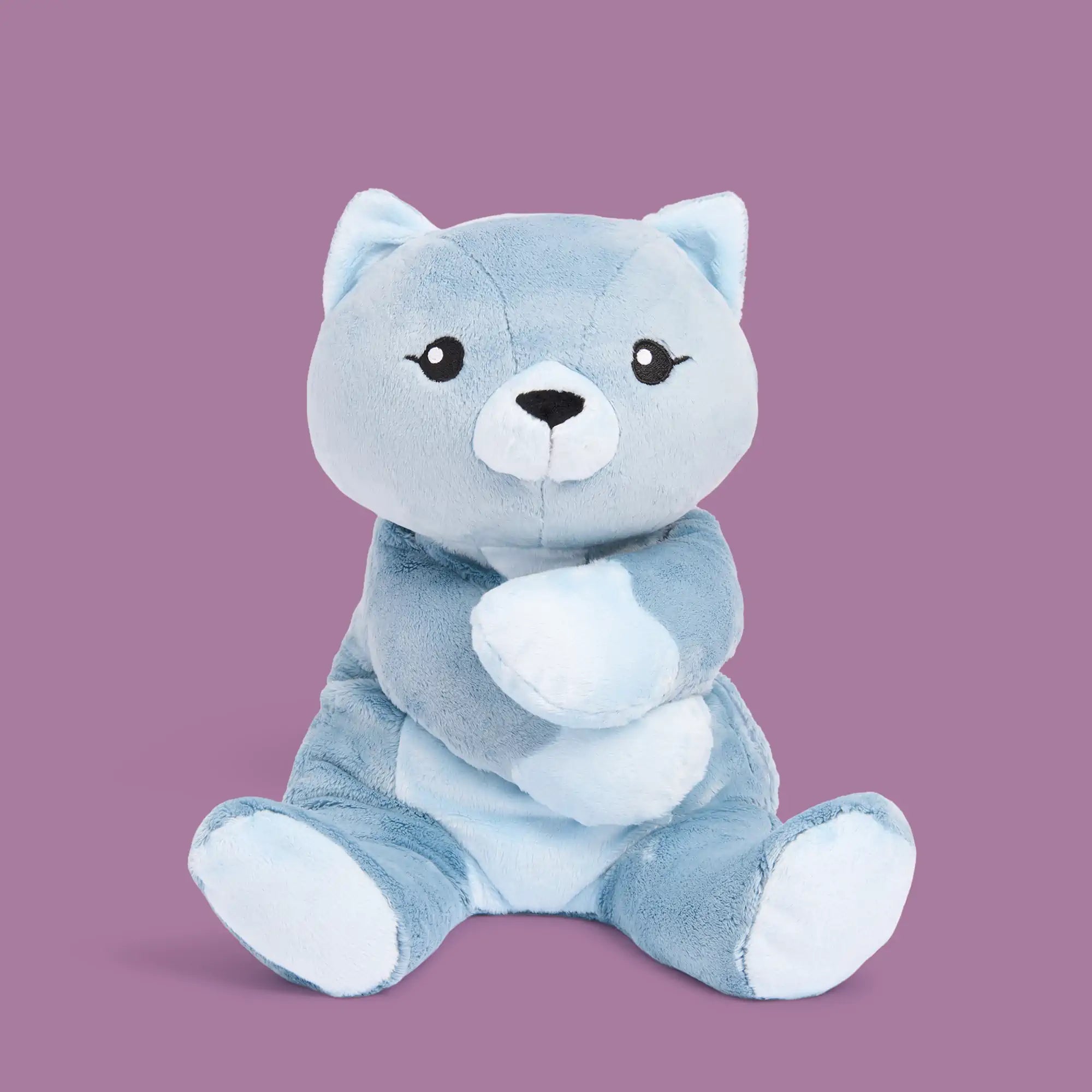 Frankie Cat