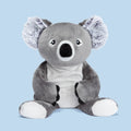Quinn the Koala