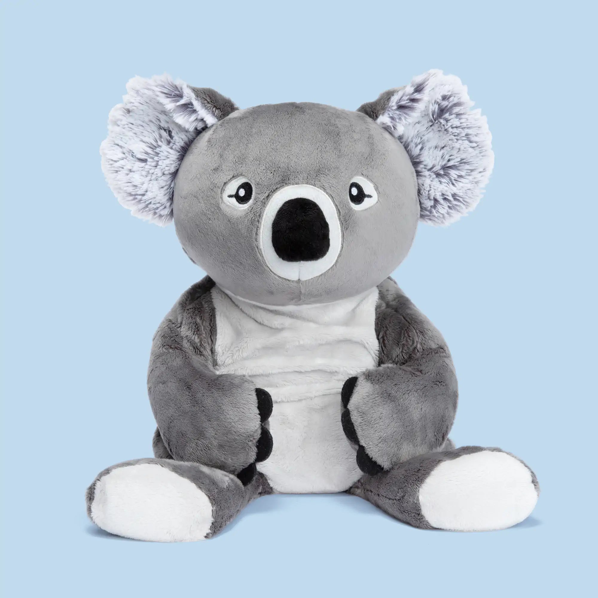 Quinn Koala