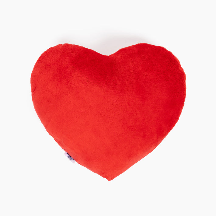 Heart to Hug Pillow Fearless