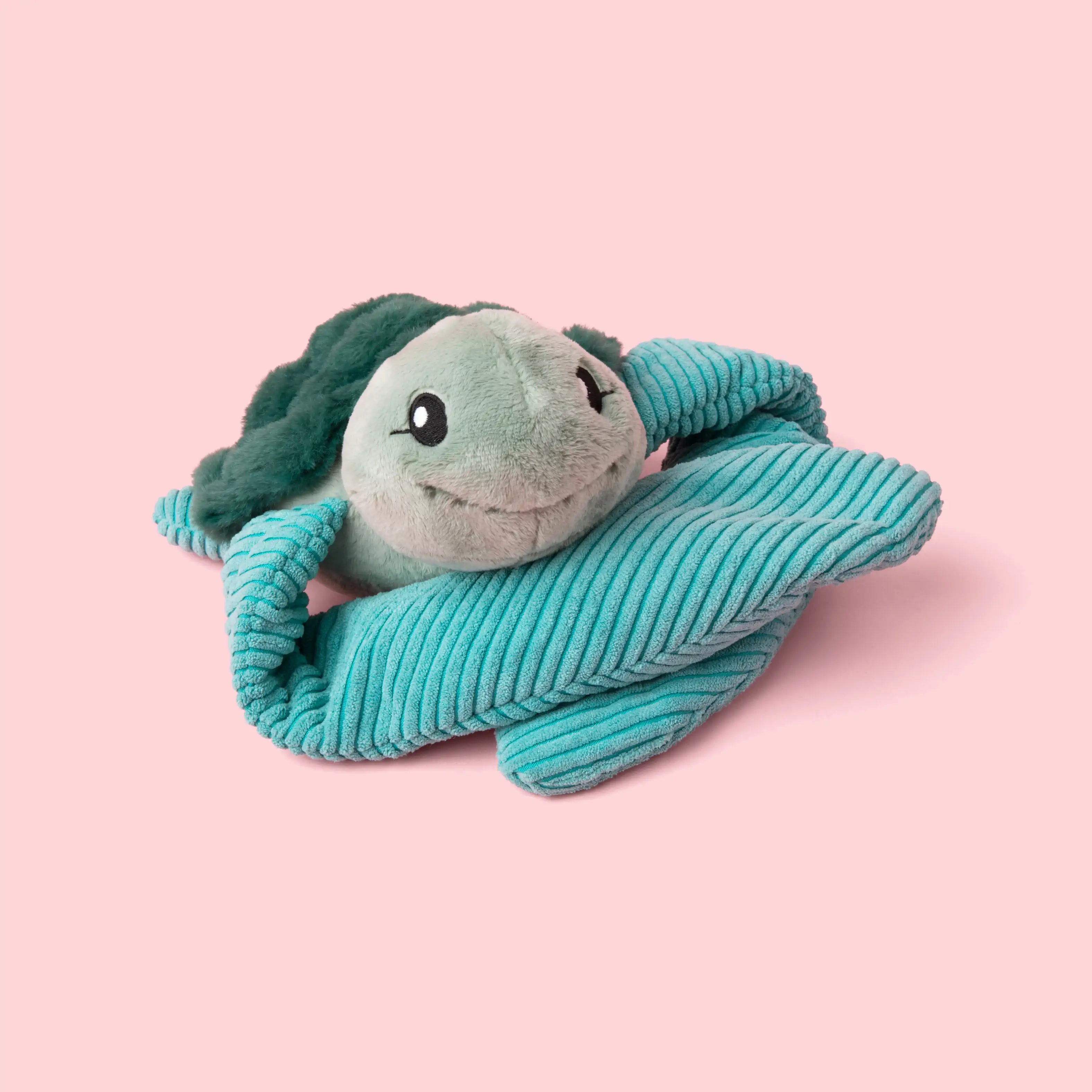 Sidney Sea Turtle